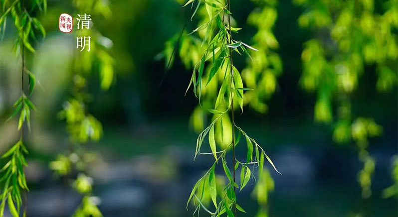 春日清明，踏春而行